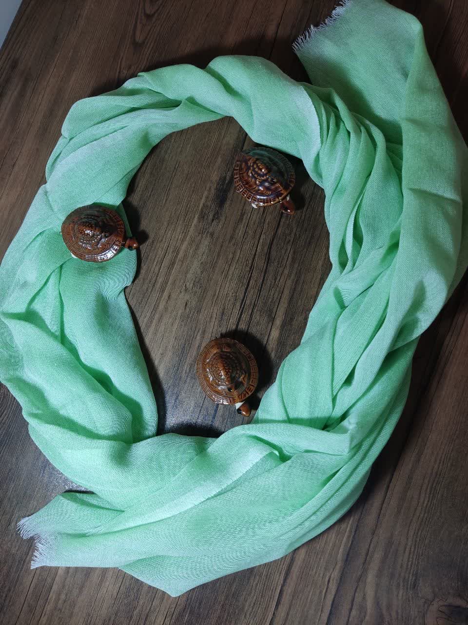 photo_2025-10-17_12-01-42