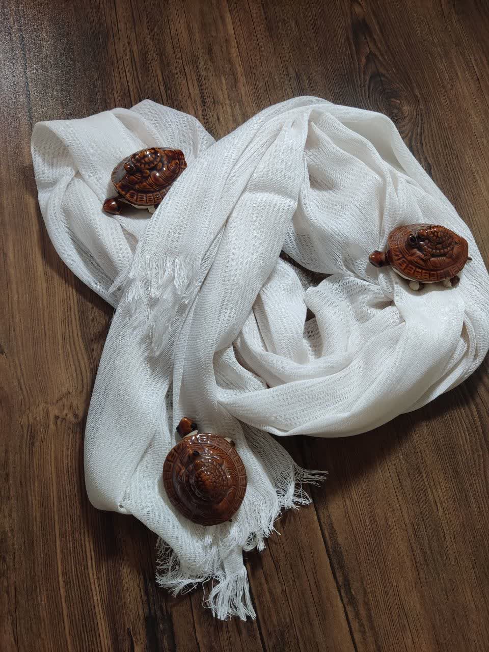 photo_2025-10-17_12-09-20